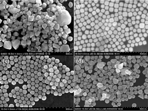 Typical Fe Sem Images Of The Smaller Au Nanoparticle Products