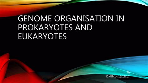 Genome Organisation In Prokaryotes And Eukaryotes PPT