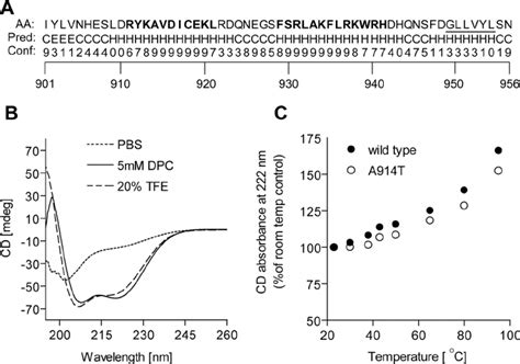 Structural Analysis Of The Ndc10p Degron A Secondary Structure