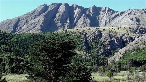 Comarca de Sierras de la Ventana con ocupación del 75 en vacaciones