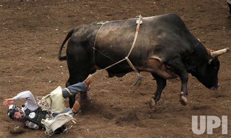 Photo Mckennon Wimberly At The 2010 Professional Bull Riders