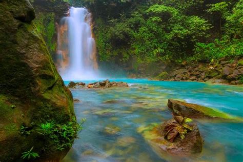 2023 RIO CELESTE RIVER Tubing Rainforest Wildlife Waterfall Active