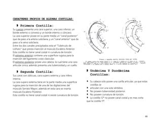 2 UNIDAD COLUMNA VERTEBRAL Y TORAX 2 Complementario Pdf