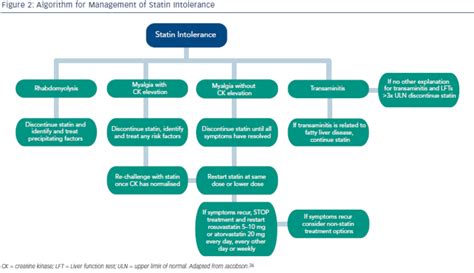 Statins Practical Considerations A Review Radcliffe Cardiology