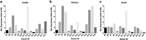 Gene Expression Analysis Of Chondrogenic Markers Relative Gene