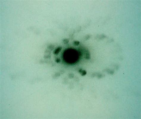 Crystalline and Amorphous Solids – PhysicsOpenLab 