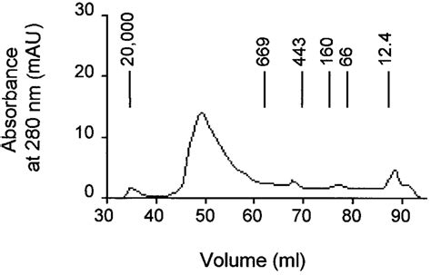 Size Exclusion Chromatography Of Hp The Elution Profile Of Soluble