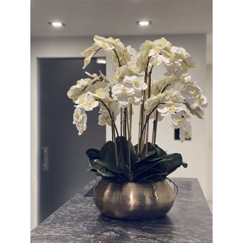 Primrue Phalaenopsis Orchid Centerpiece In Vase Wayfair