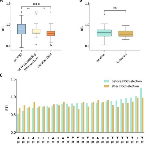 Relative Telomere Length Dynamics In The Context Of Tp Mutation