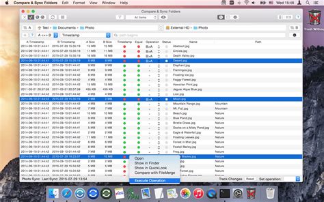 Compare Sync Folders File And Folder Comparison And Synchronization