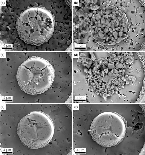 Representative Sem Micrographs Of Micro Pillars After The Micro Pillar