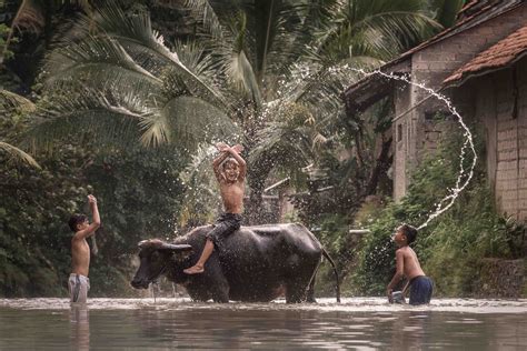 BANTEN - THE FINAL STRONGHOLD OF RHINO - Travelmarbles