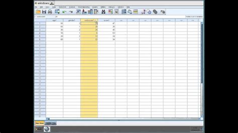 Questionnaire Project Analyze Data In SPSS YouTube