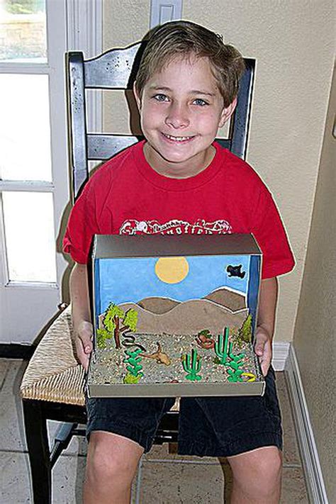 Diorama Desert Diorama Kids Habitats Projects Desert Diorama | Images ...