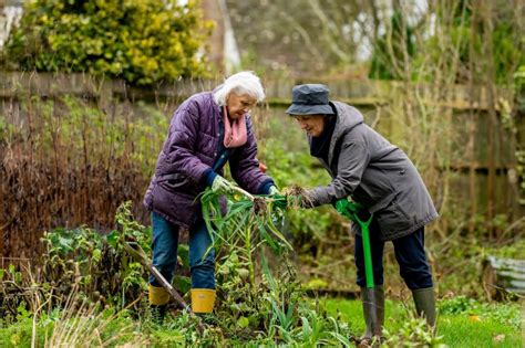 Gardening For Seniors Benefits And 5 Easy Projects To Try Greener Ideal