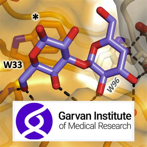 Listen in to the latest episode of our podcast recorded at The Garvan