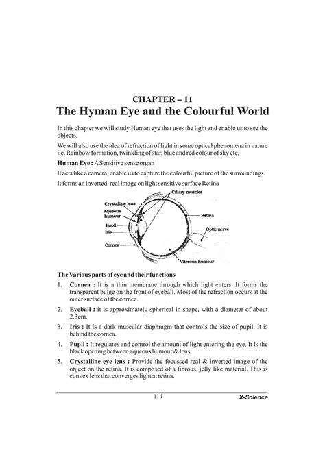 Solution Class Physics Human Eye And Colorful World Notes Pdf