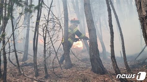 영주 산불 2단계 발령 유지주민 대피령 야간대응체제로 전환 네이트 뉴스