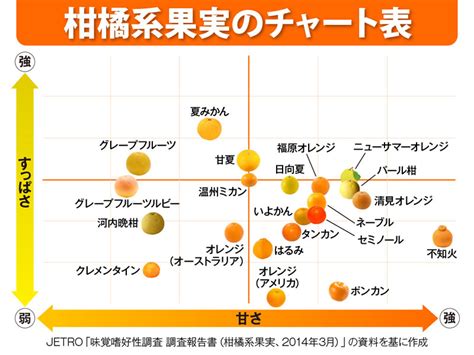 色も形も味もさまざま！ “みかんチャート” ｜infoseekニュース