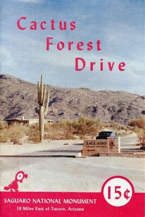 Cactus Forest Drive Saguaro National Monument By Anonymous BookFusion