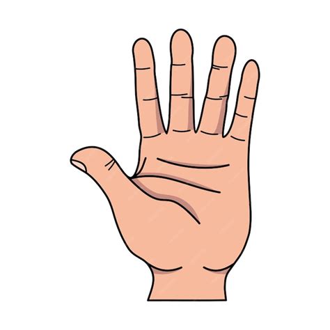 premium vector hand cartoon vector illustration cute hand cartoon