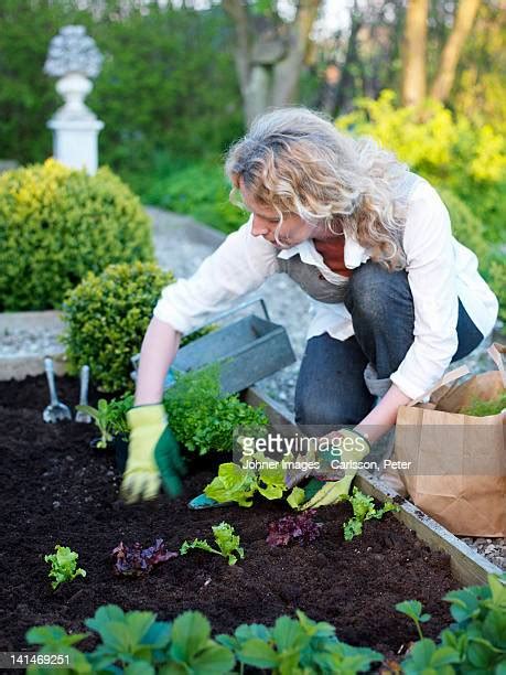 Mature Bush Photos And Premium High Res Pictures Getty Images