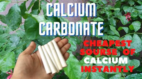 Calcium Carbonate For Plants Instant Action Organic Fertilizer Natural Chalk Youtube