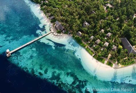 Wakatobi-Dive-Resort - Aquamarine Diving - Bali