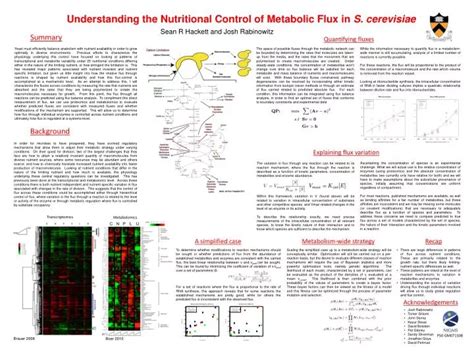 Ppt Understanding The Nutritional Control Of Metabolic Flux In S