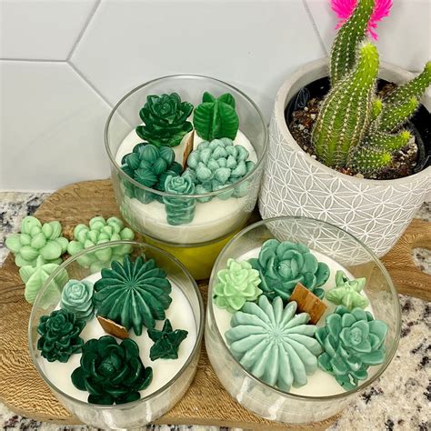 Succulent Cacti Candle Succulent Cacti Terrarium Garden T Cactus