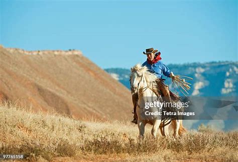 544 Canyon Cowboys Stock Photos High Res Pictures And Images Getty