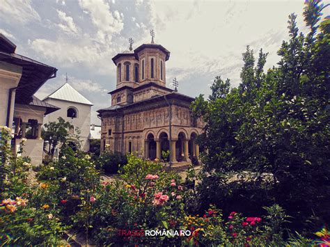 Manastirea Dintr Un Lemn Si Steajarii Seculari Trasee De Calatorie Si