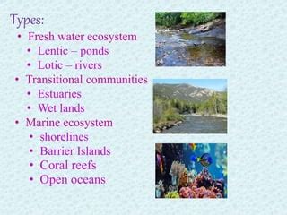 TYPES OF ECOSYSTEM PPT