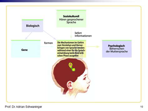 Allgemeine Psychologie 1 Sprache Und Denken HS21 Adrian Schwaninger