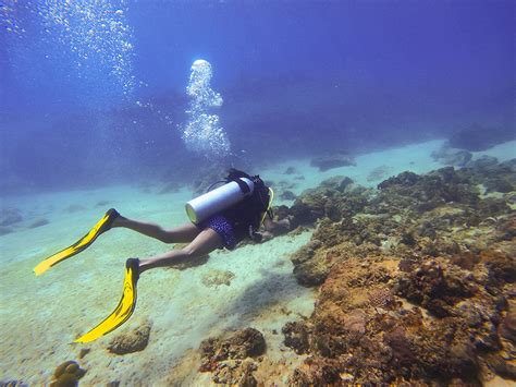 Pigeon Island Scuba Diving Pigeon Island Diving Centre