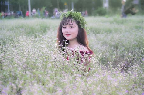 Girl Field Of Flowers Beautiful Free Photo On Pixabay