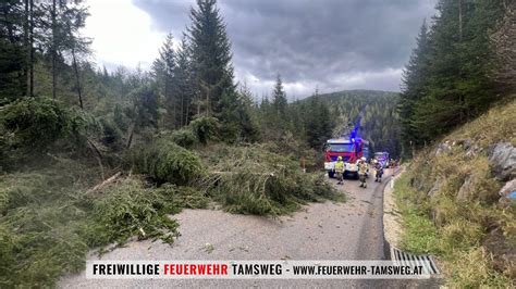 Bäume umgestürzt Preber Landesstraße Freiwilige Feuerwehr Tamsweg