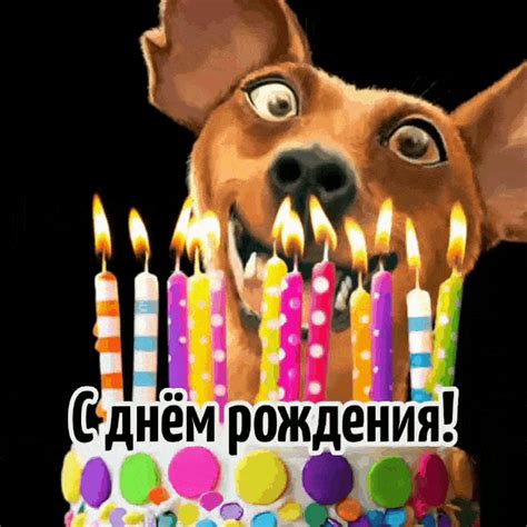 Открытки Гифки с днем рождения