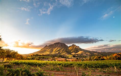 Zuid-Afrika Images – Browse 470,303 Stock Photos, Vectors, and Video ...
