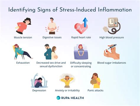The Impact of Stress on Inflammation: Coping Strategies for a Healthier