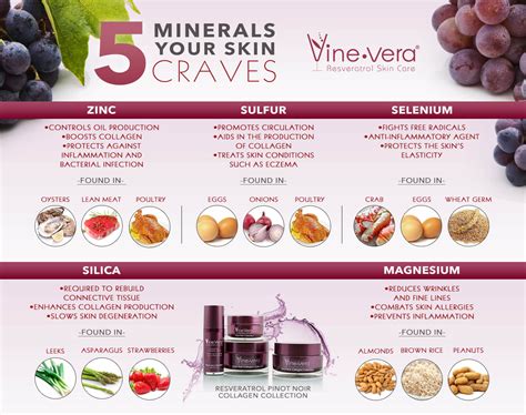 5 Minerals Your Skin Craves Vine Vera Blog