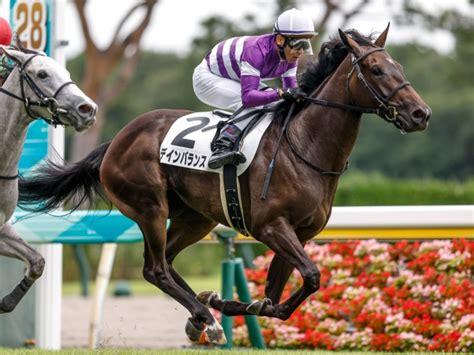 【新潟6r新馬戦結果】デインバランスが内から差し切って初陣を飾る 競馬ニュース Netkeiba