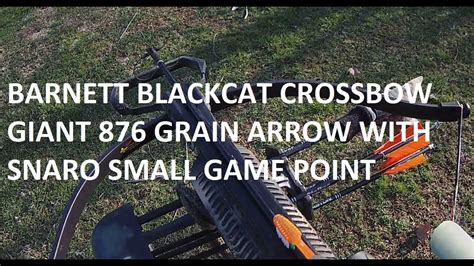 Barnett BLACKCAT Recruit Crossbow GIANT SNARO SMALL GAME POINT YouTube