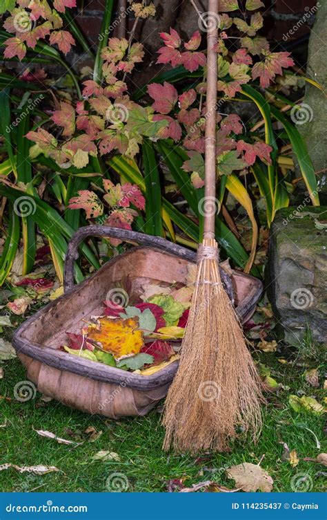 Besom Broom And Trug Clearing Autumn Leaves In Garden Stock Image