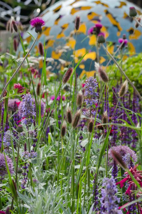 An unexpected suer benefit helps your garden grow faster 8