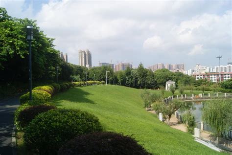 Shenzhen China Pond Landscape Editorial Photo Image Of Ponds Park