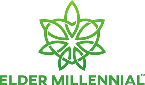 Understanding Millennials A Demographic Overview — Elder Millennial