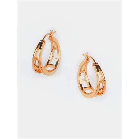 Buy Shaya By Caratlane Mm Back To Basics Hoop Earrings In Gold Plated