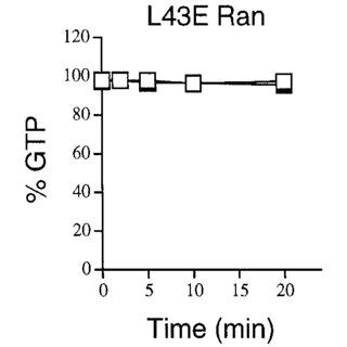 Interaction Of Ran Mutants With Ran Binding Proteins A Binding Of