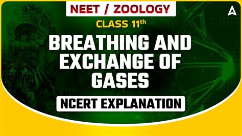 Breathing And Exchange Of Gases Class Neet Biology Ncert